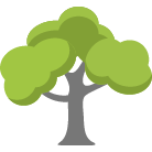Redwood City Tree Removal